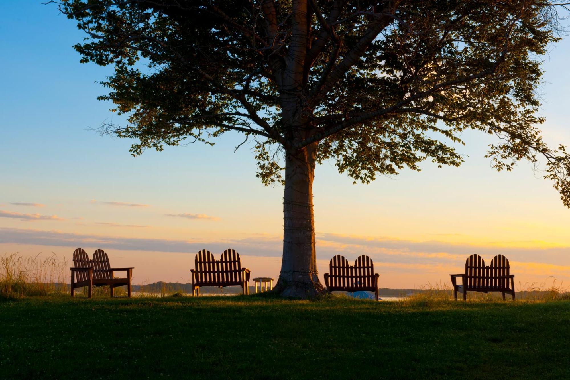 Hyatt Regency Chesapeake Bay Golf Resort, Spa & Marina Cambridge Exterior foto